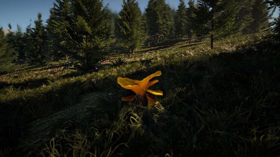 Forager's Finds screenshot 11