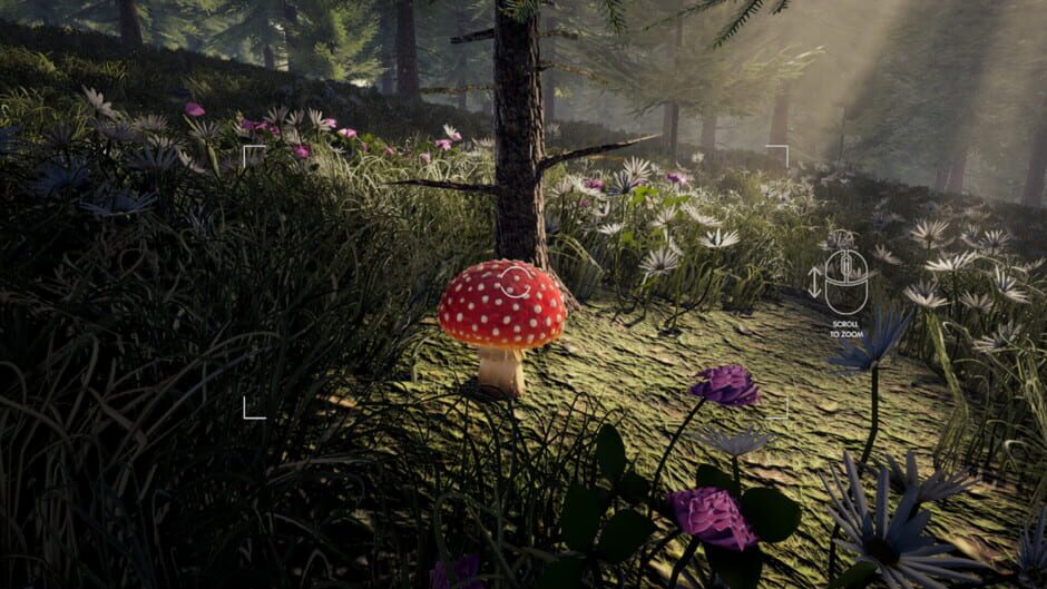 Forager's Finds screenshot 12