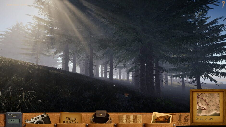 Forager's Finds screenshot 7