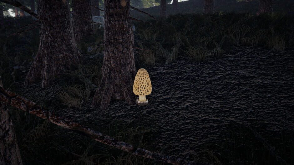 Forager's Finds screenshot 9