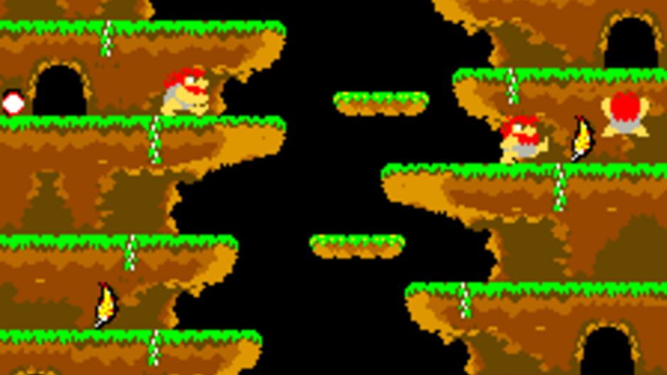 Roc 'N Rope screenshot 2