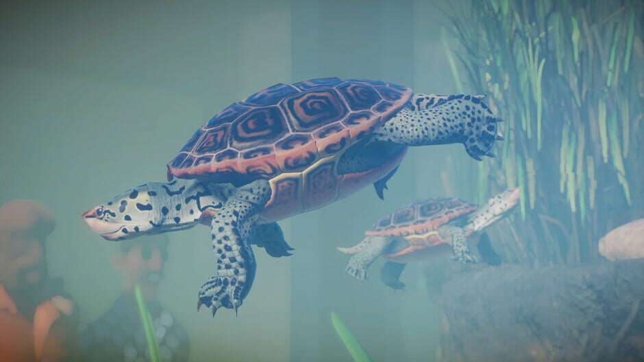 Planet Zoo: Aquatic Pack screenshot 13