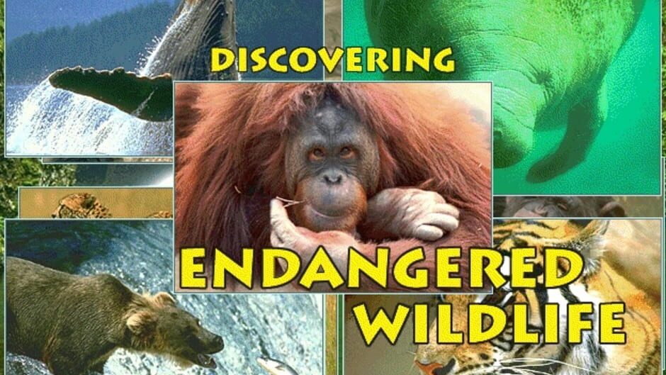 Discovering Endangered Wildlife screenshot 10