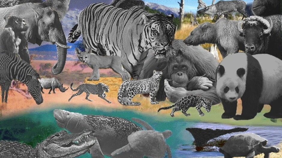 Discovering Endangered Wildlife screenshot 5