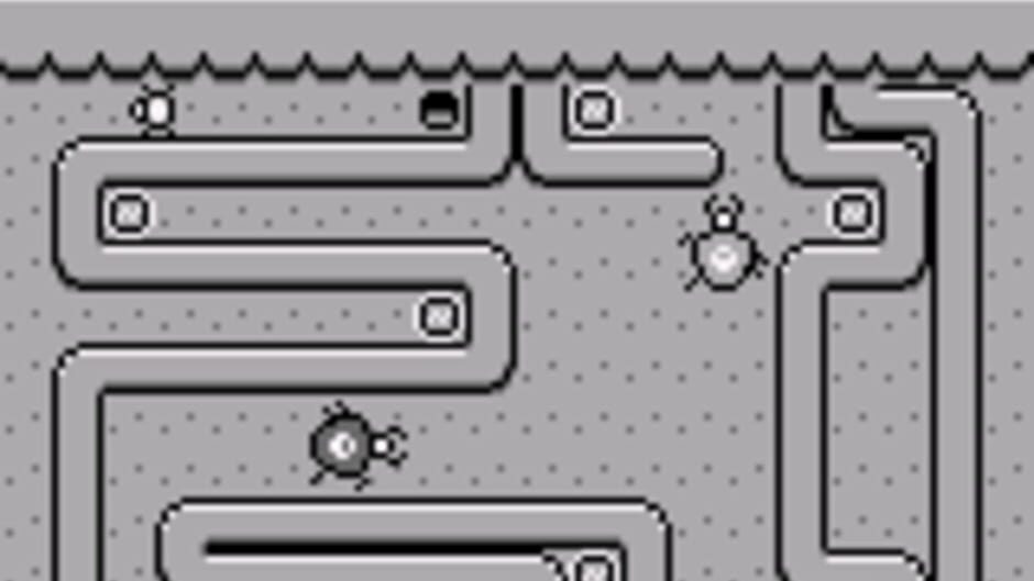 Bug Bites! screenshot 2