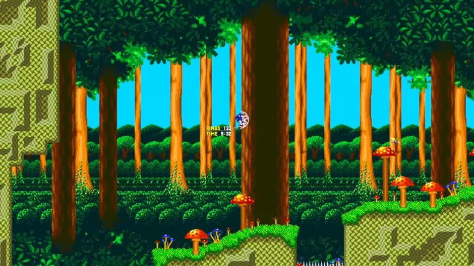 Untitled Sonic Fangame screenshot 3